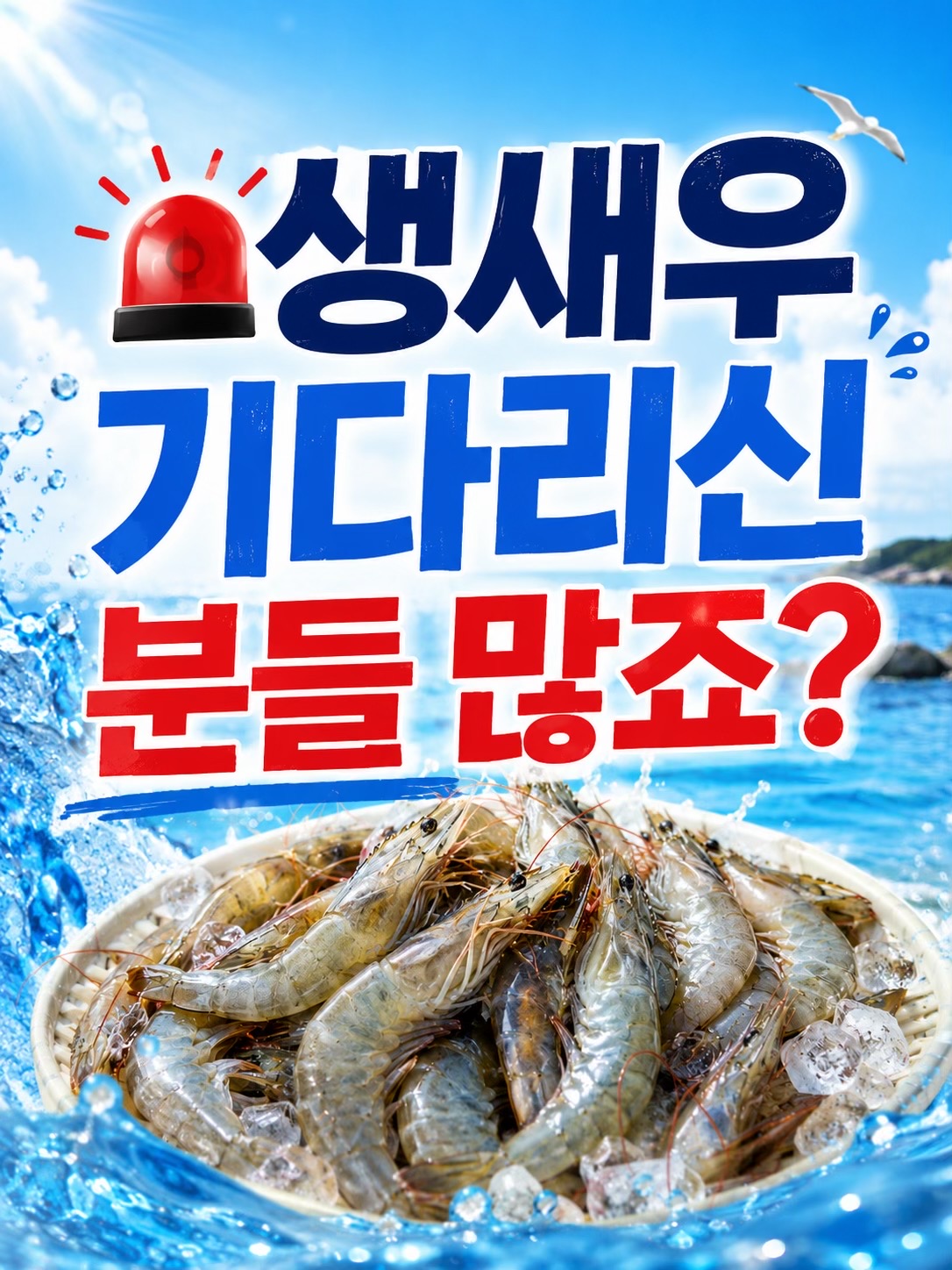 @바다나라김대표