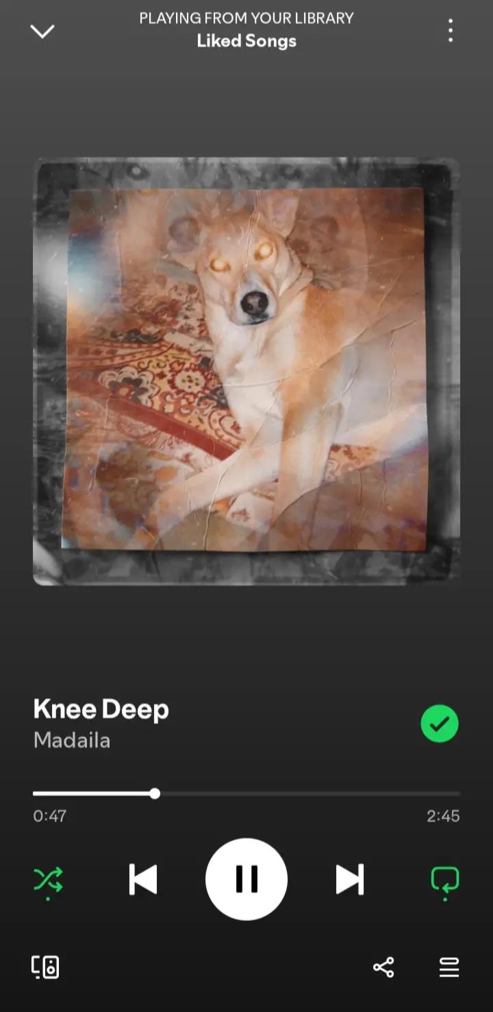 @SPOTIFY_GIRL
