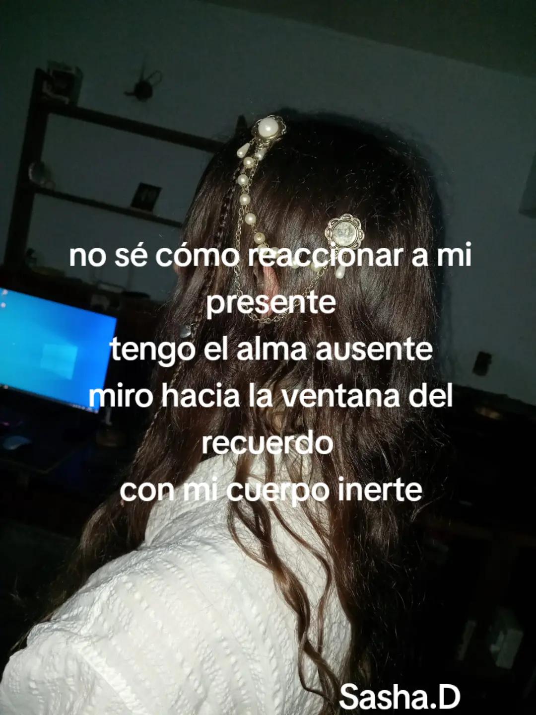 @sashu dominicci