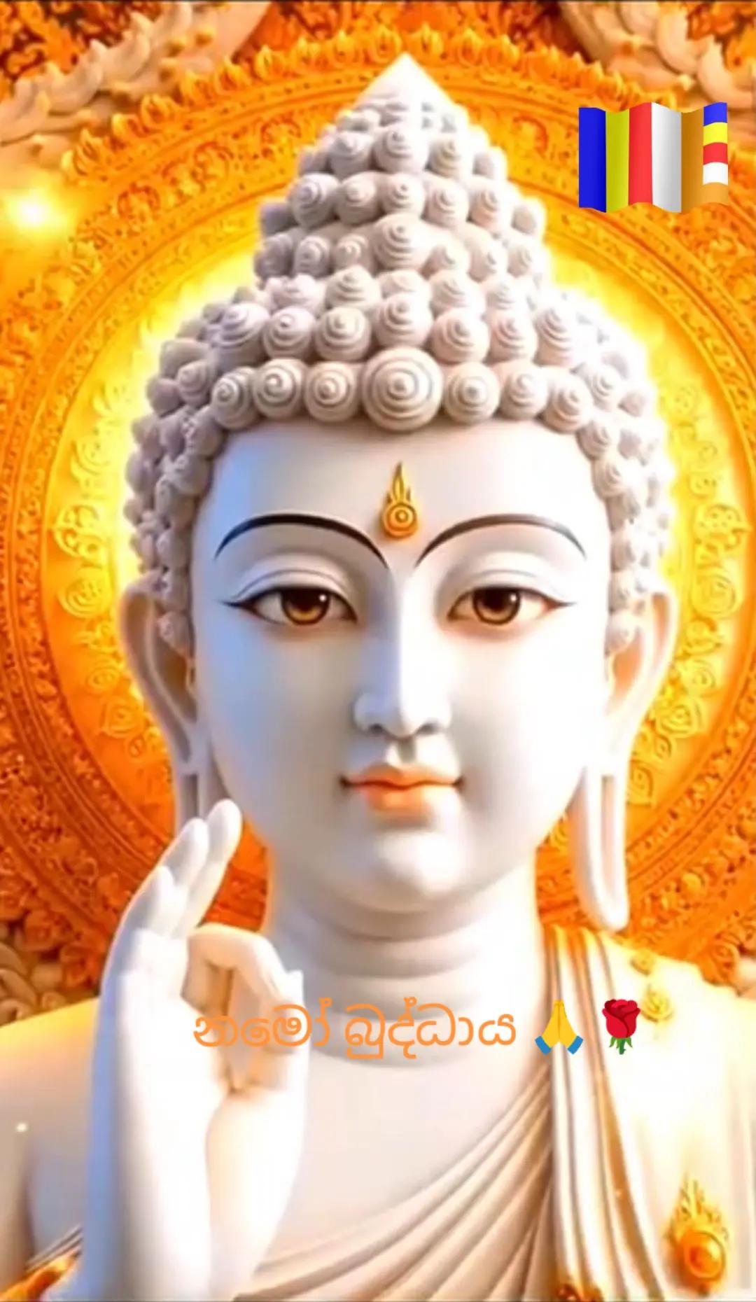 @සබ්බ දානං ධම්ම දානං ජිනාති