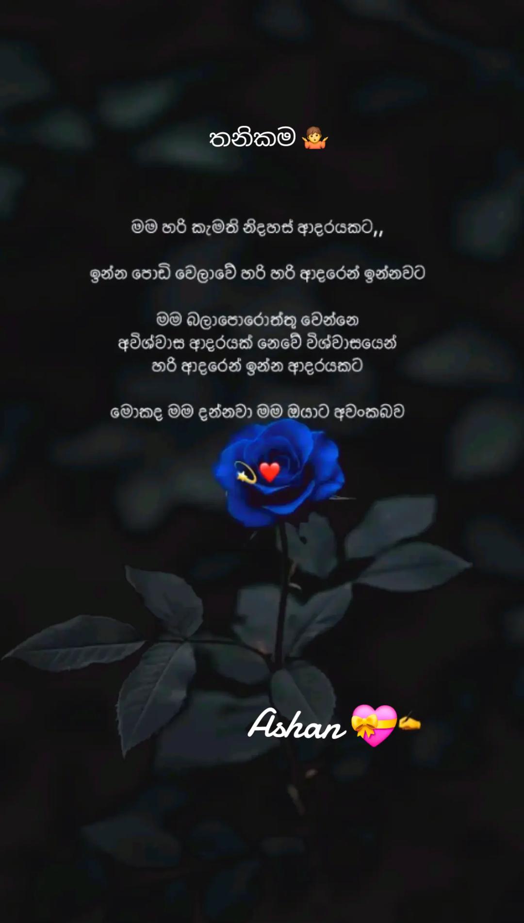 @🇱🇰🎤තනිකමේ🩸🎵🎤 විසේකාරයා🩸