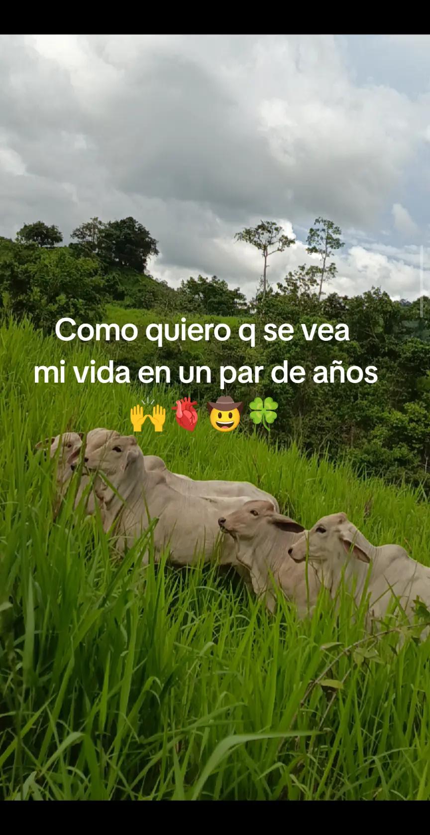 @Jean🤠