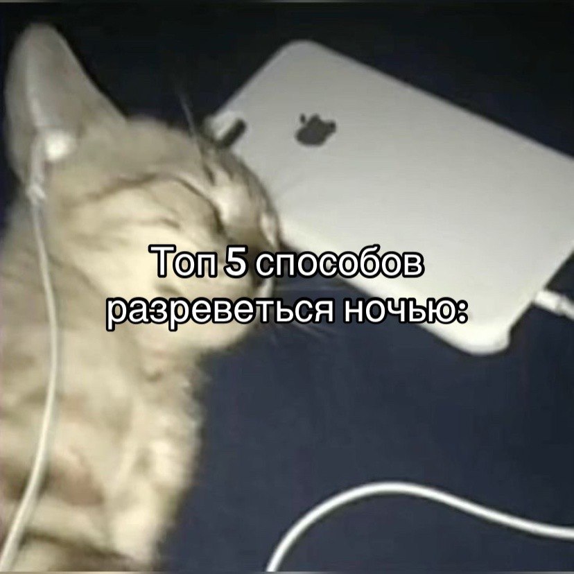 @SiKXB