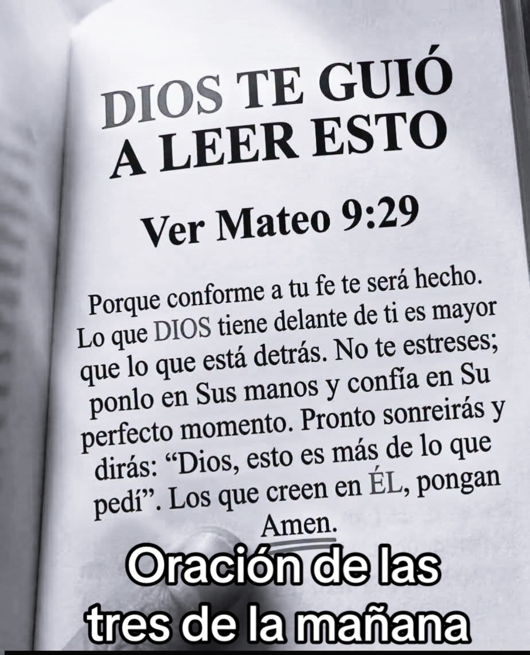@8luisplaza8
