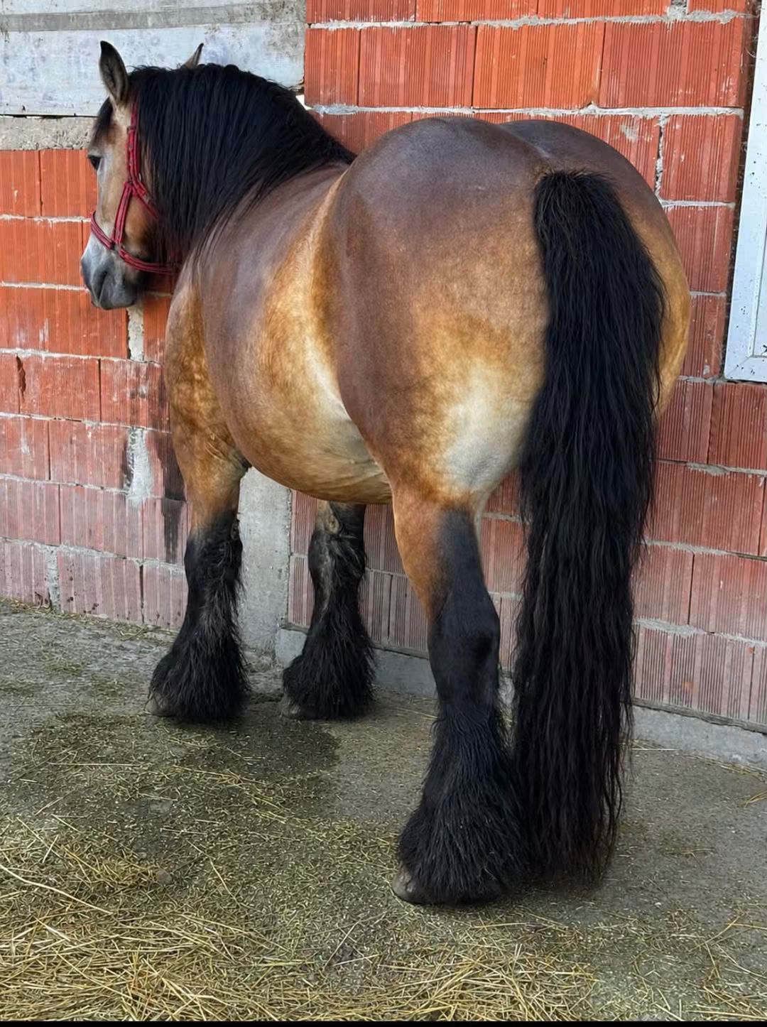 @🐴spartanu80🐴