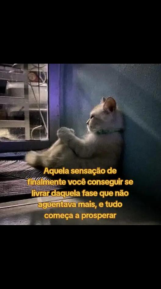 @JP Ara&uacute;jo
