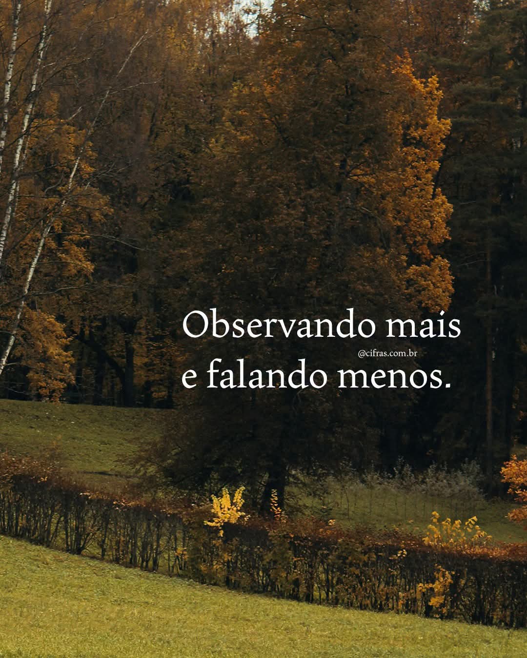 @Tatyane Matos