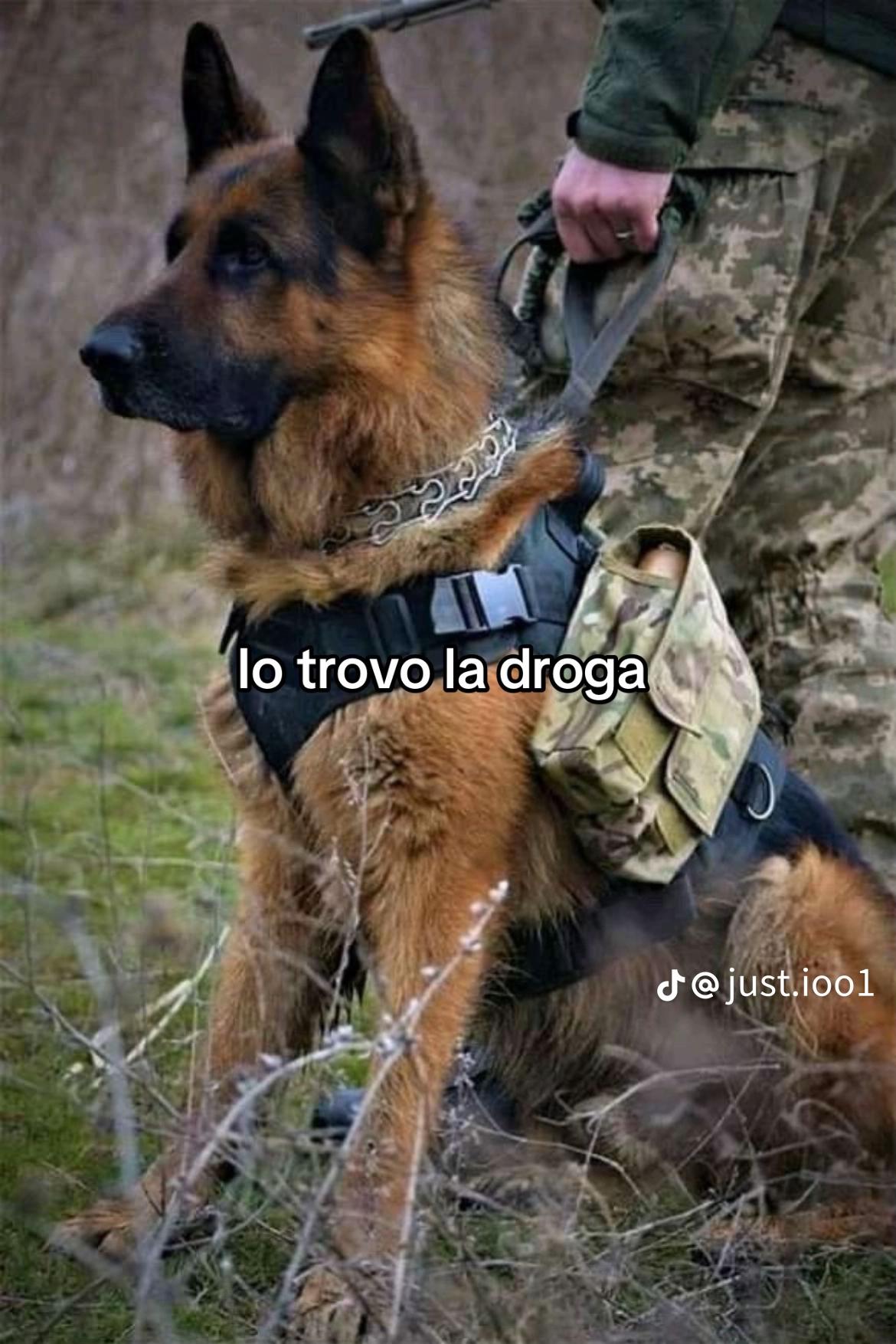 @✨Peppe_e_Grazia🧸✨