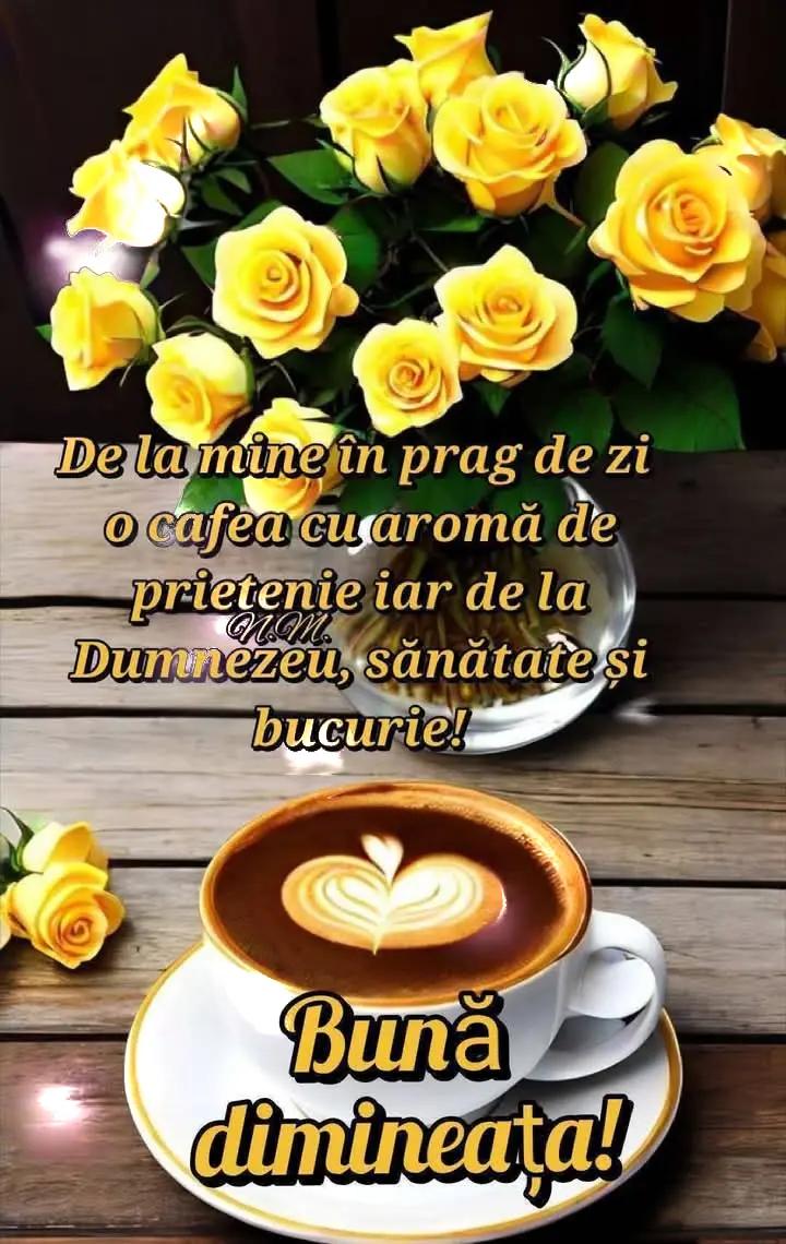 @Nicolae Iamandi Marin
