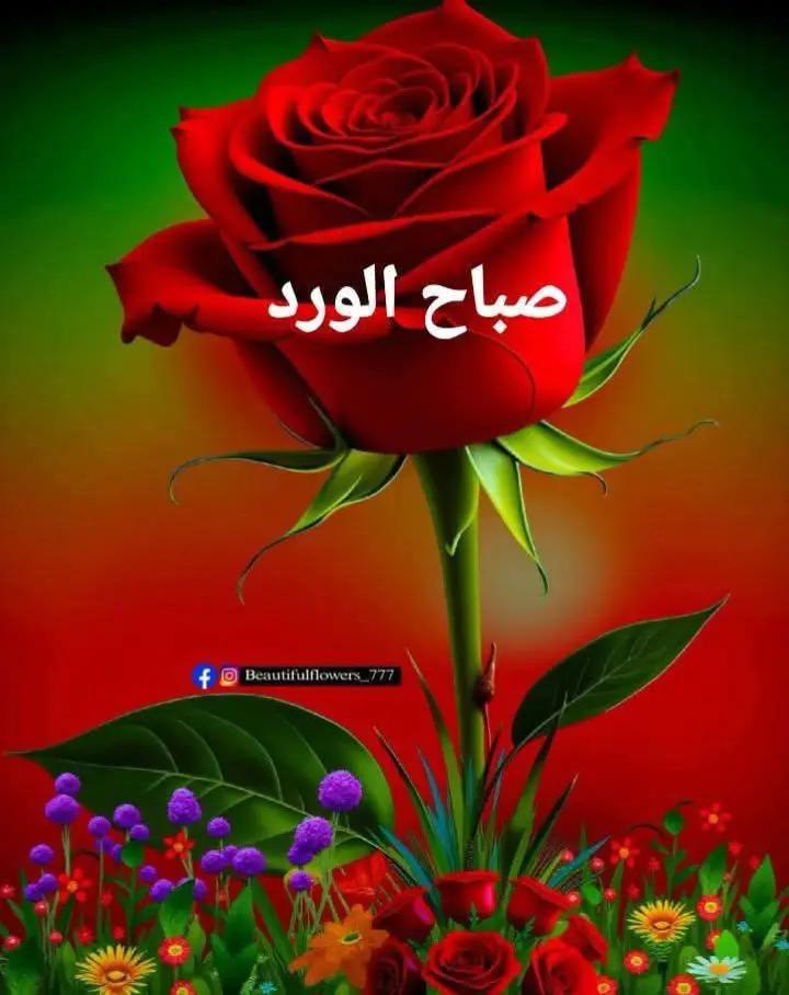 @Nazeeh Yamin
