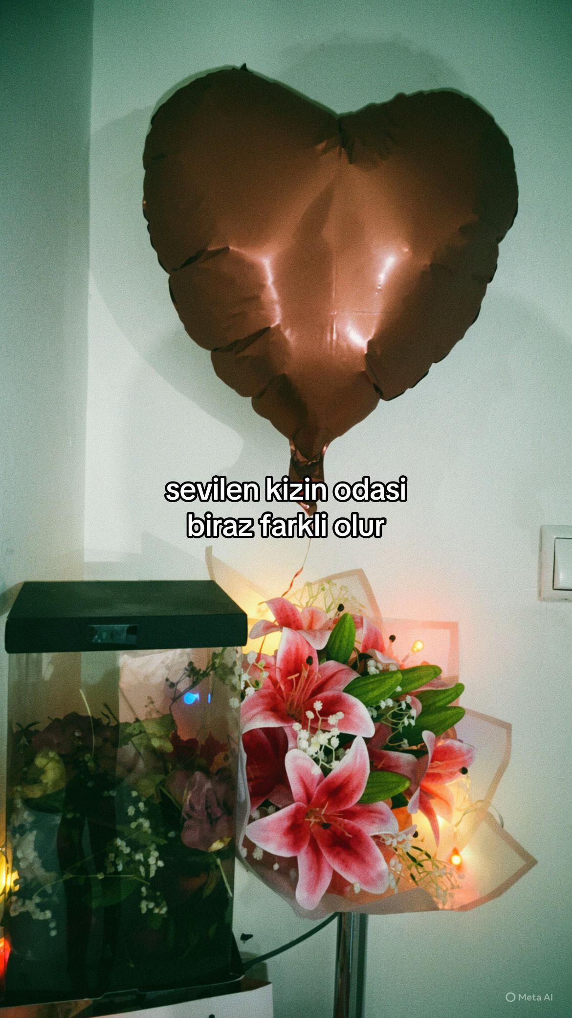 @ᴅɪʟᴀʀᴀ ᴀᴋᴛᴀꜱ