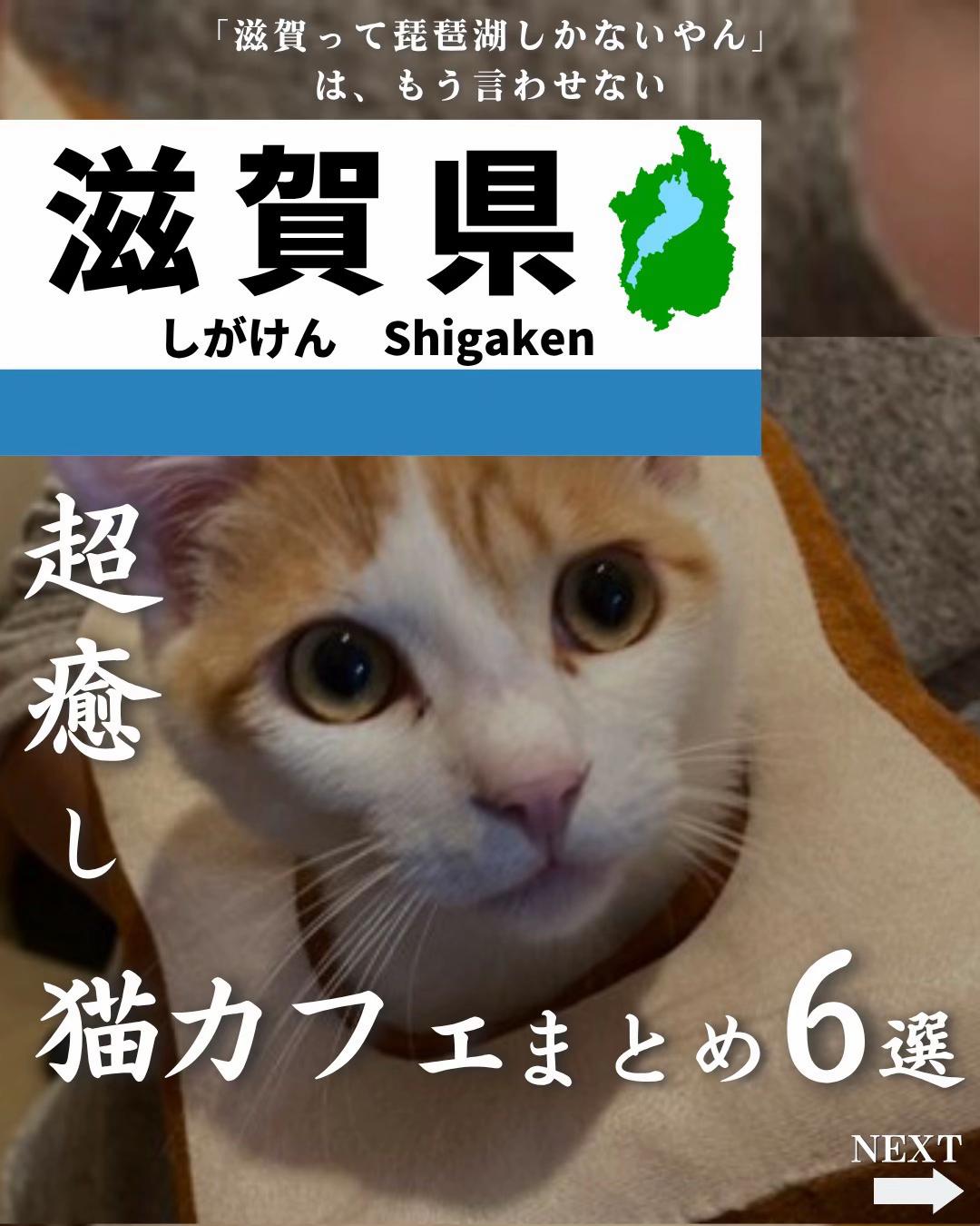 @せい｜滋賀県民｜滋賀県発、駅ごとに旅行スポットをお届け