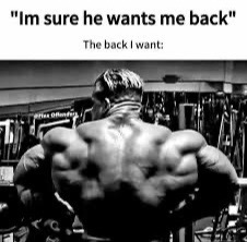 @brokengainzz