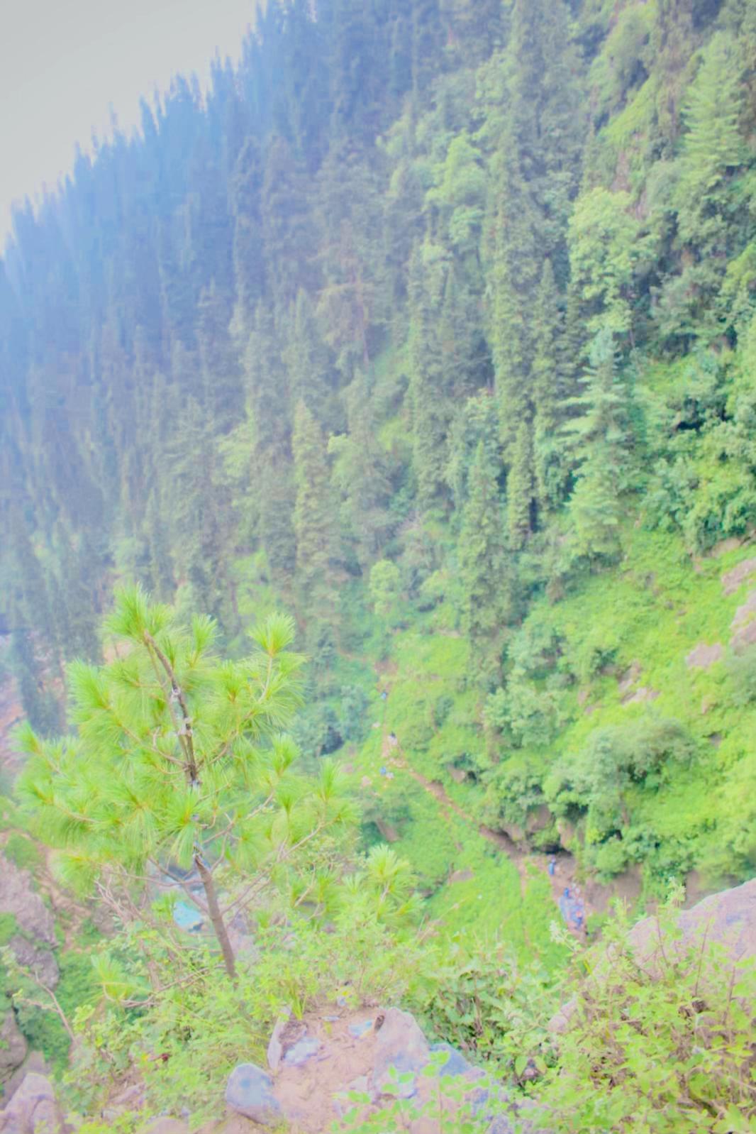 @AltamashVG🏞️🛤🇵🇰👻🏄🏍️