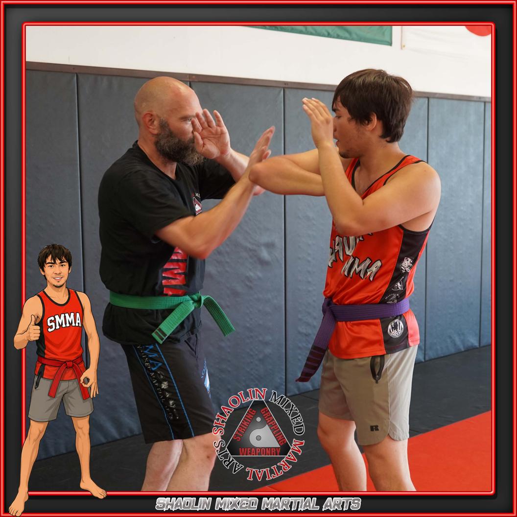 @shaolinmixedmartialarts