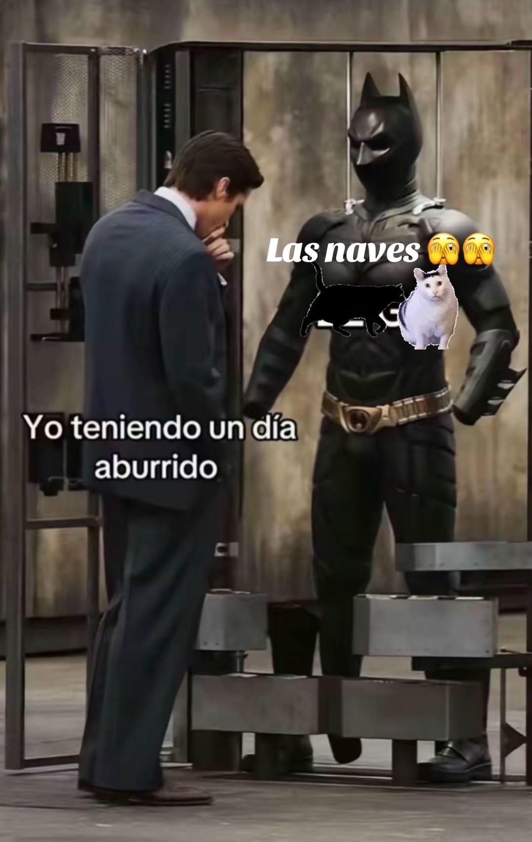 @Eduardo BL