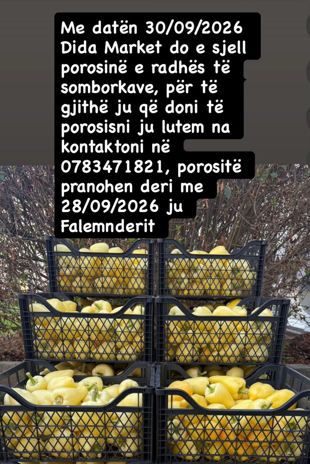 @DidaMarket
