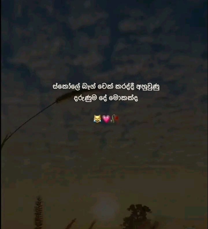 @𝘮𝘳_𝘫𝘦𝘳𝘳𝘺🤡