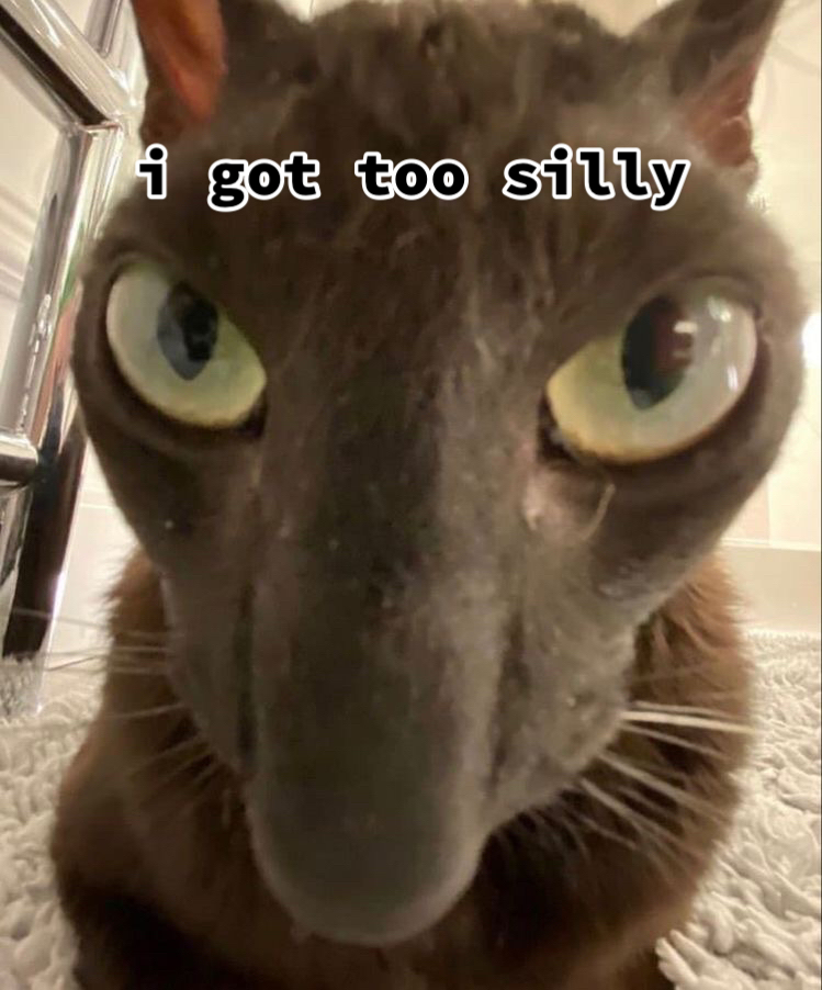 @max (very real and not ai man)