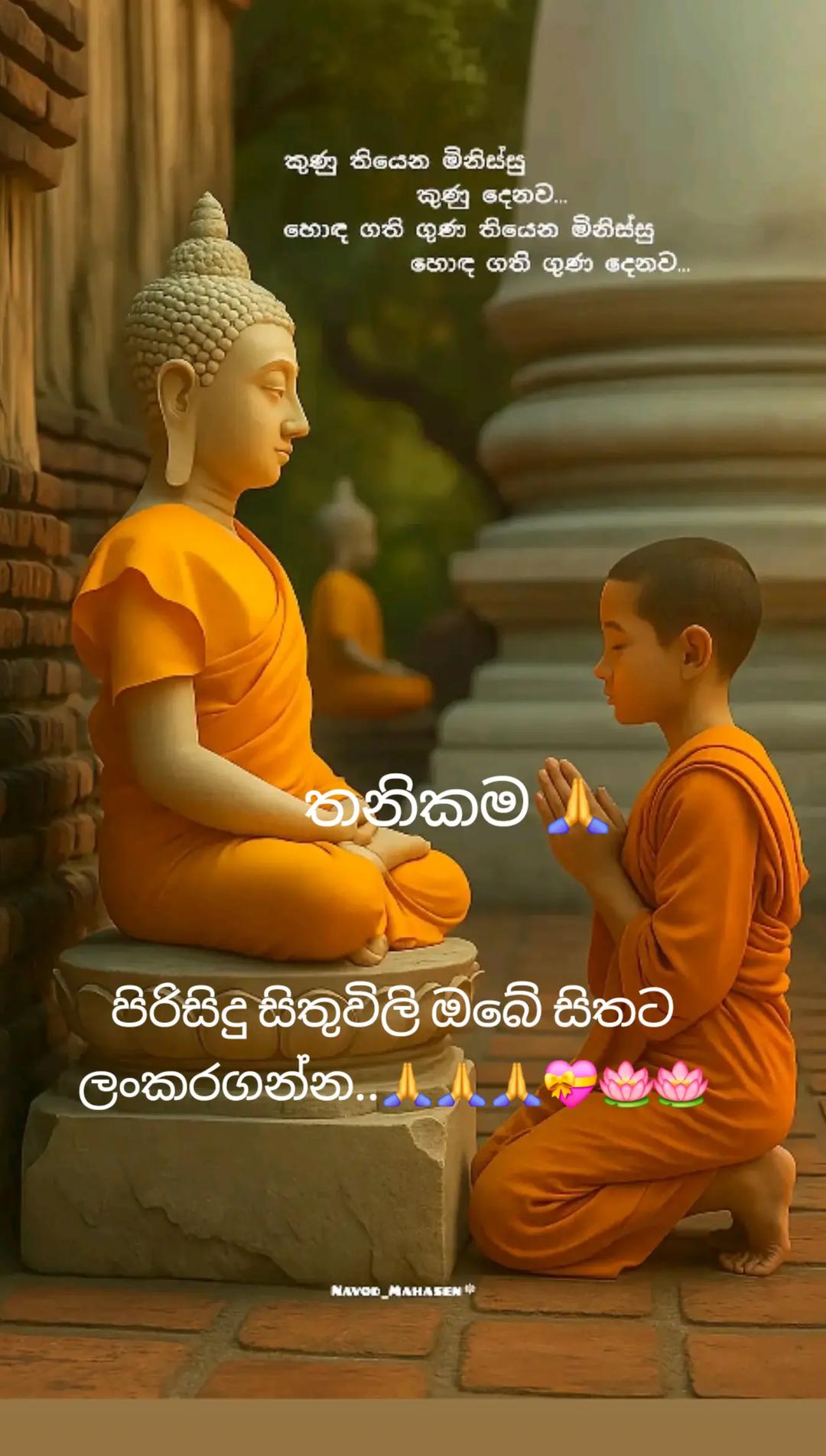 @🇱🇰🎤තනිකමේ🩸🎵🎤 විසේකාරයා🩸
