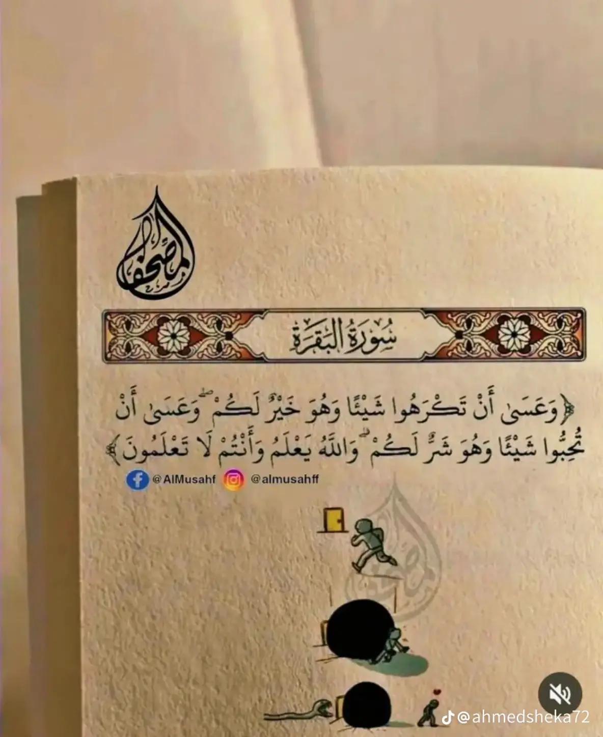 @qindeysaa arab