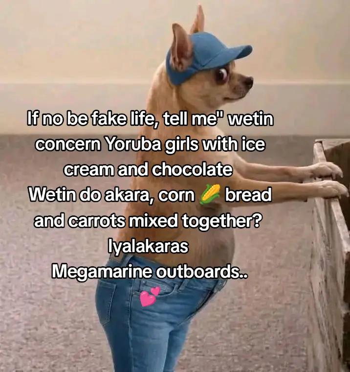@MEGA MARINE