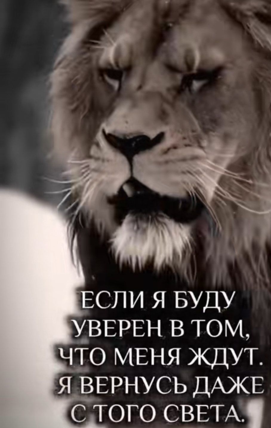 @Евгений Вологодский)