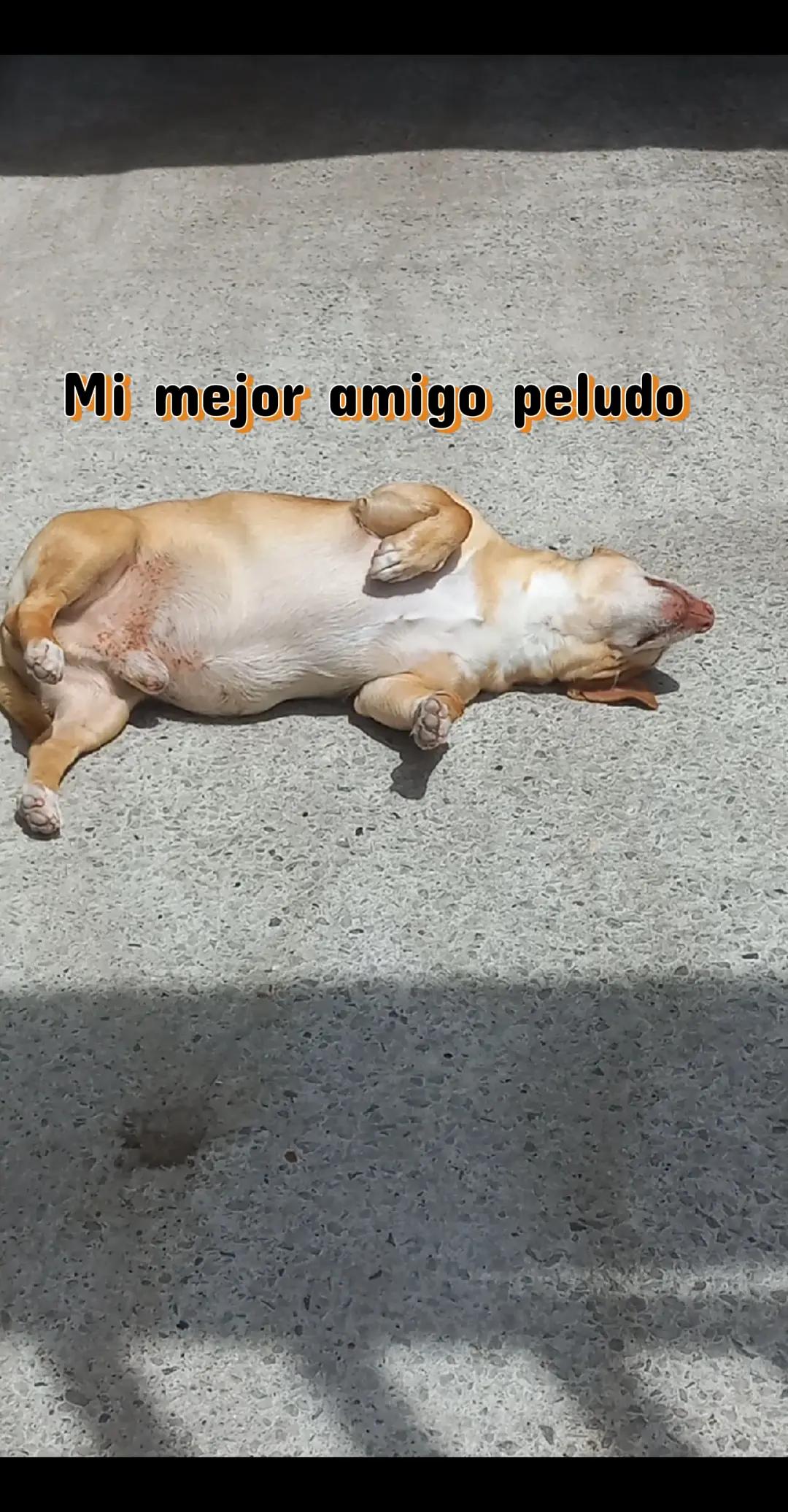 @mary