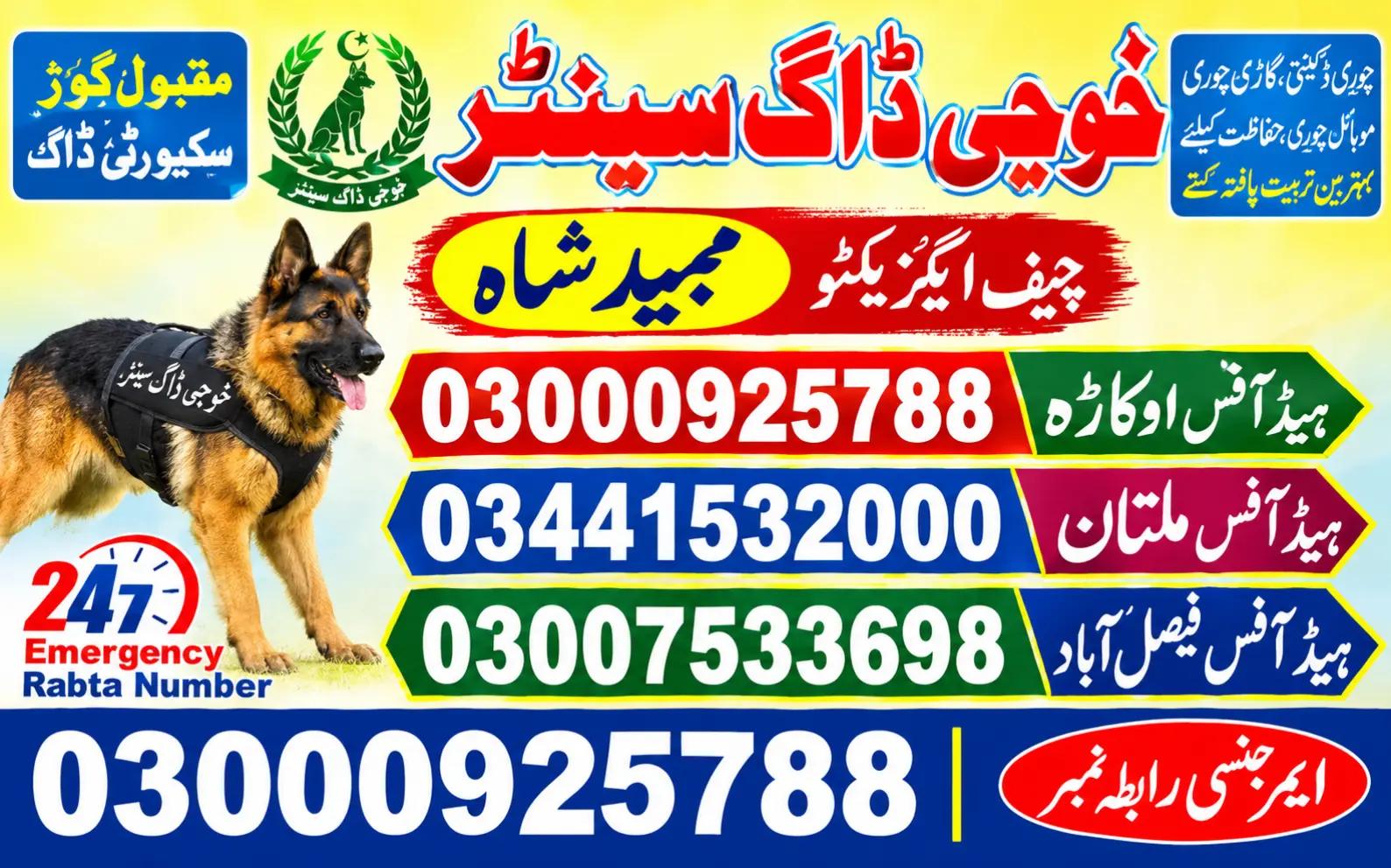 @khoji dog contact number