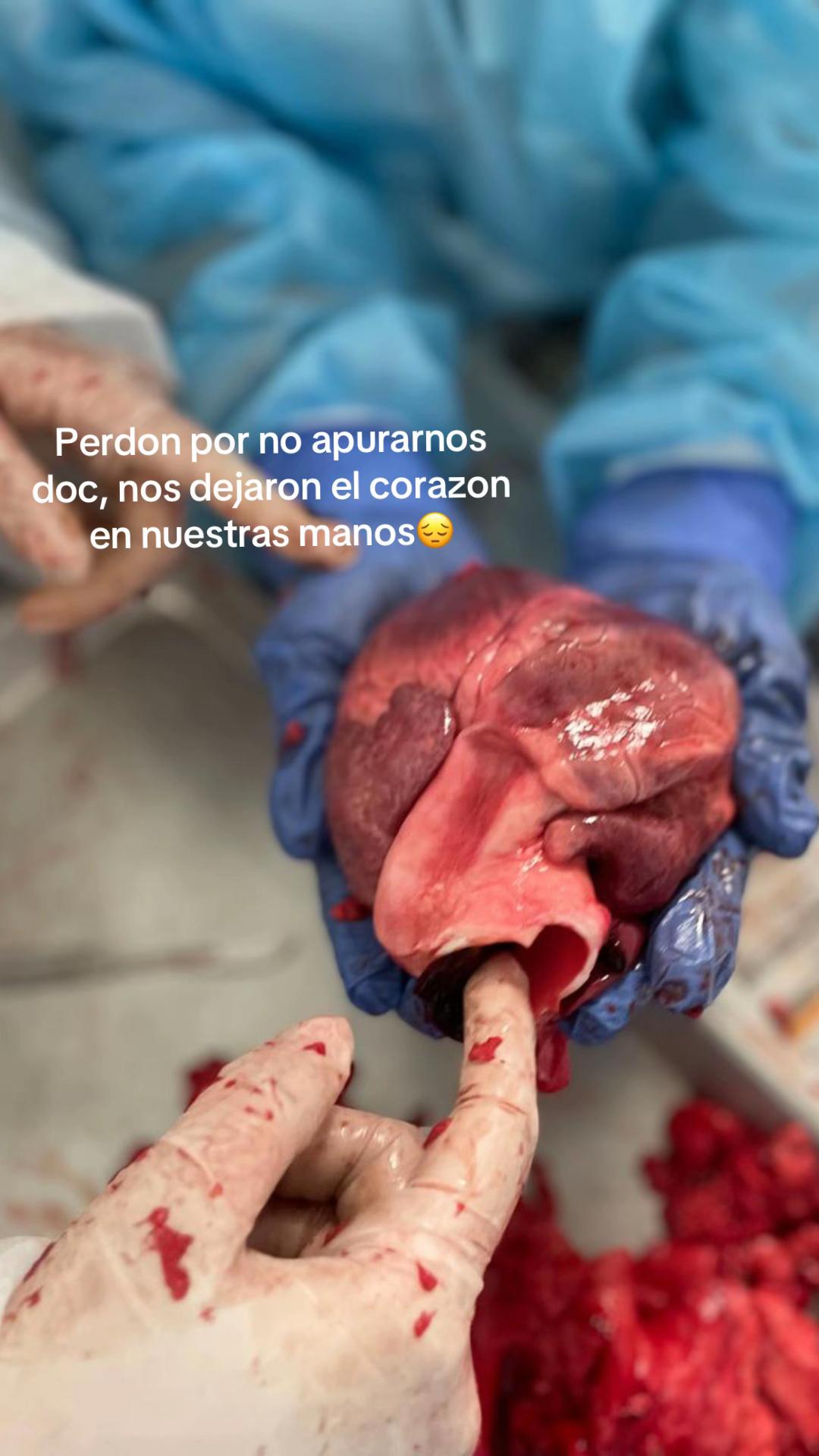 @Medicas&ldquo;B&rdquo; los originale😼🫵🏻