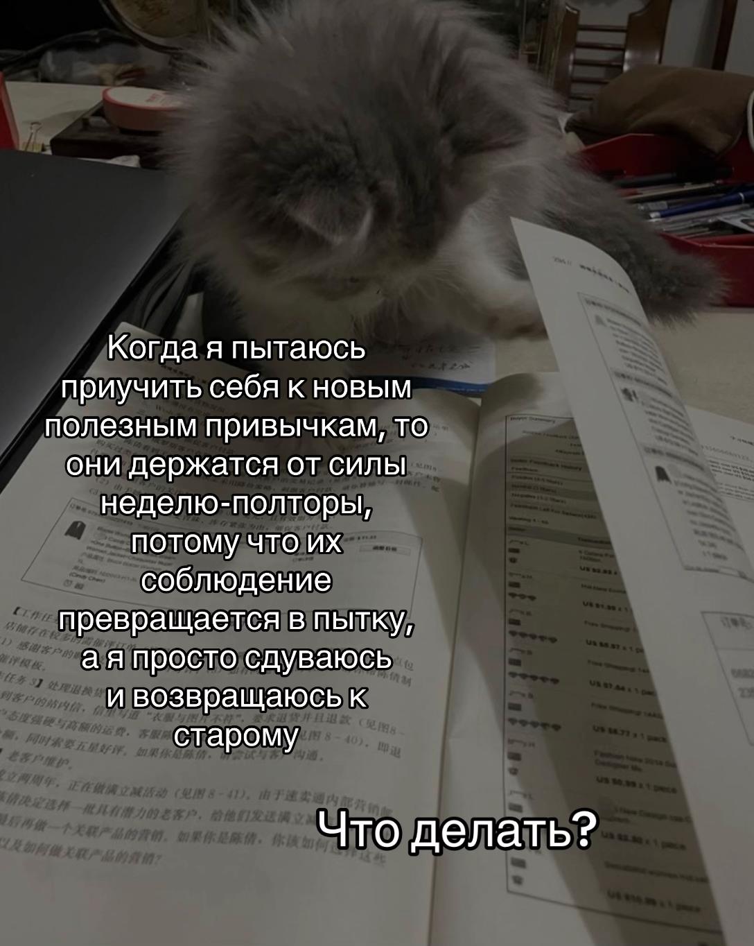 @тгк: психология с марго