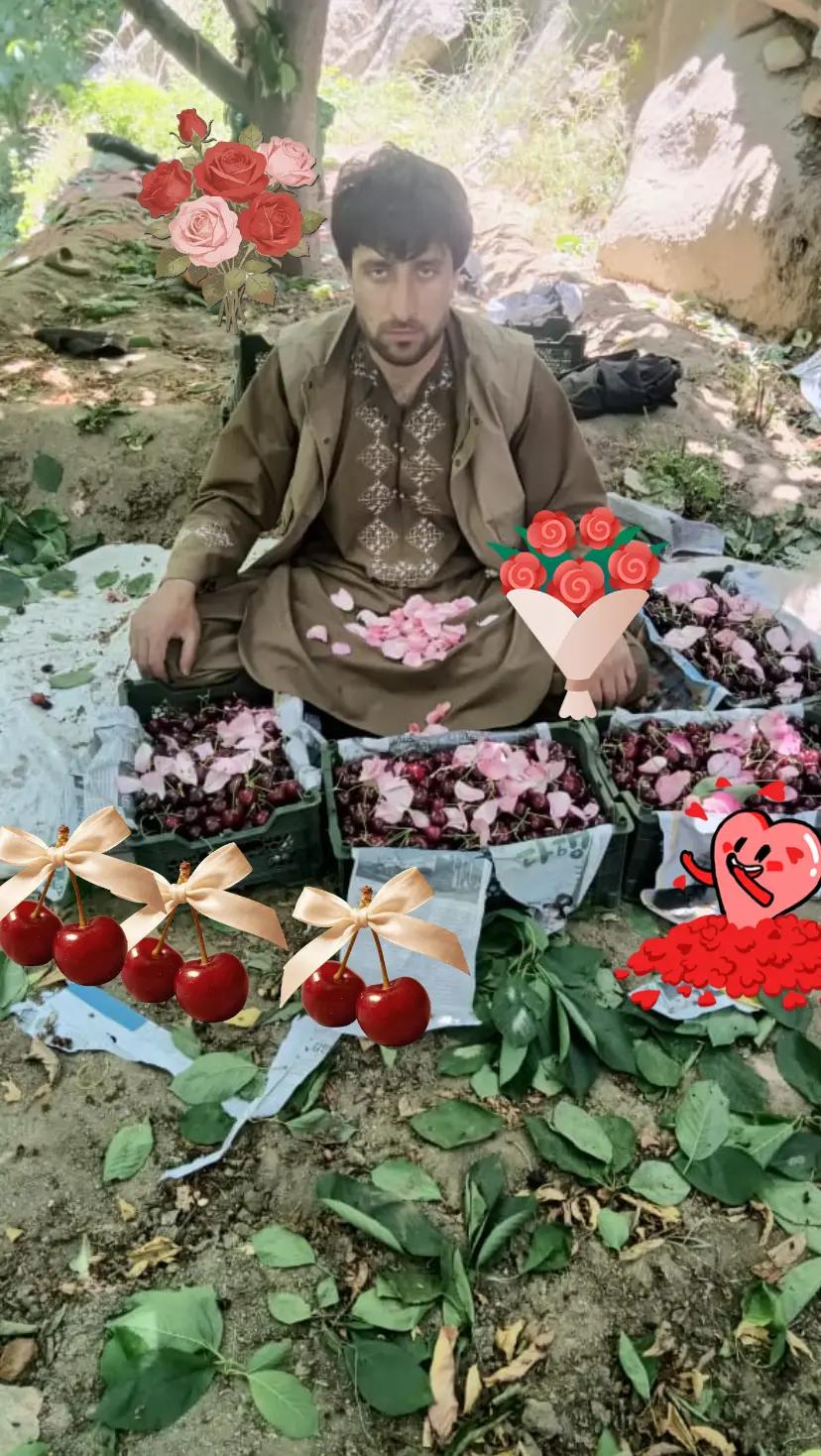 @Jawad Mansori