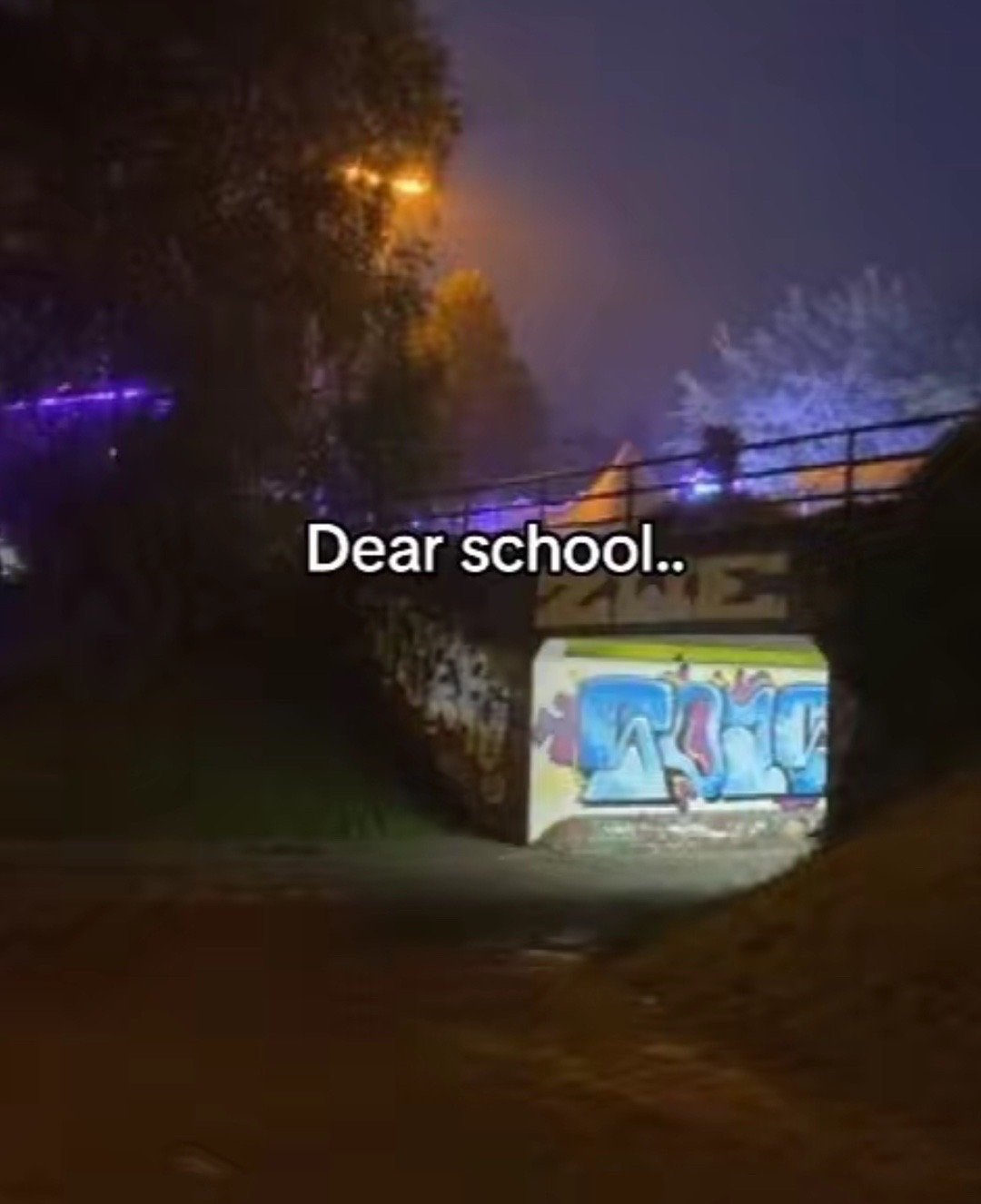@🕊️