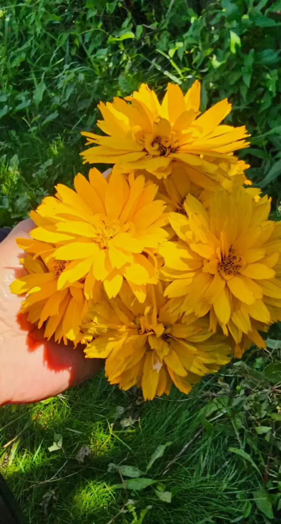 @I Love Nature