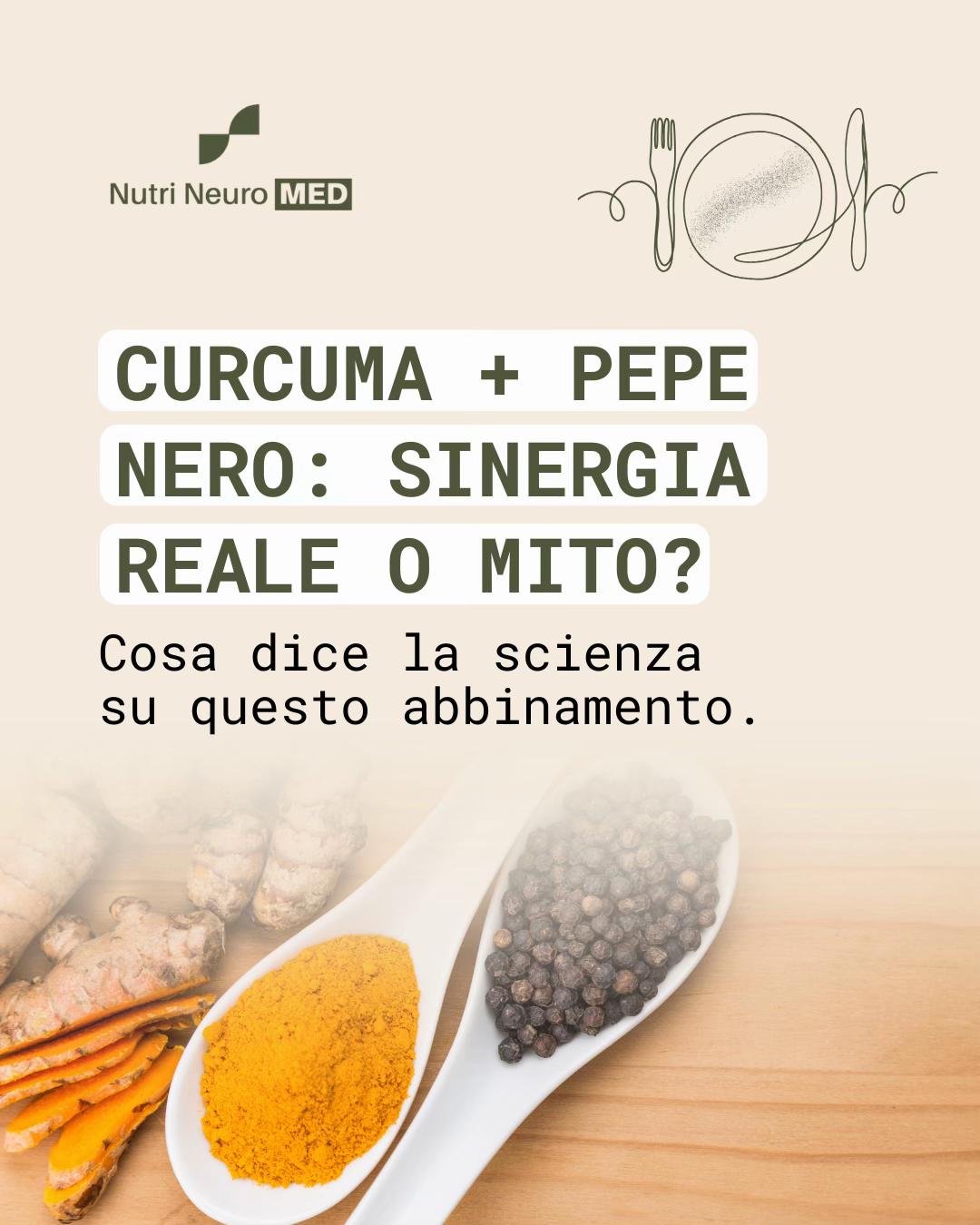 @elenabazzoli.doc