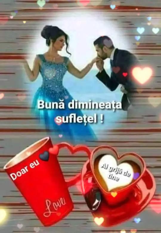 @Nicolae Iamandi Marin