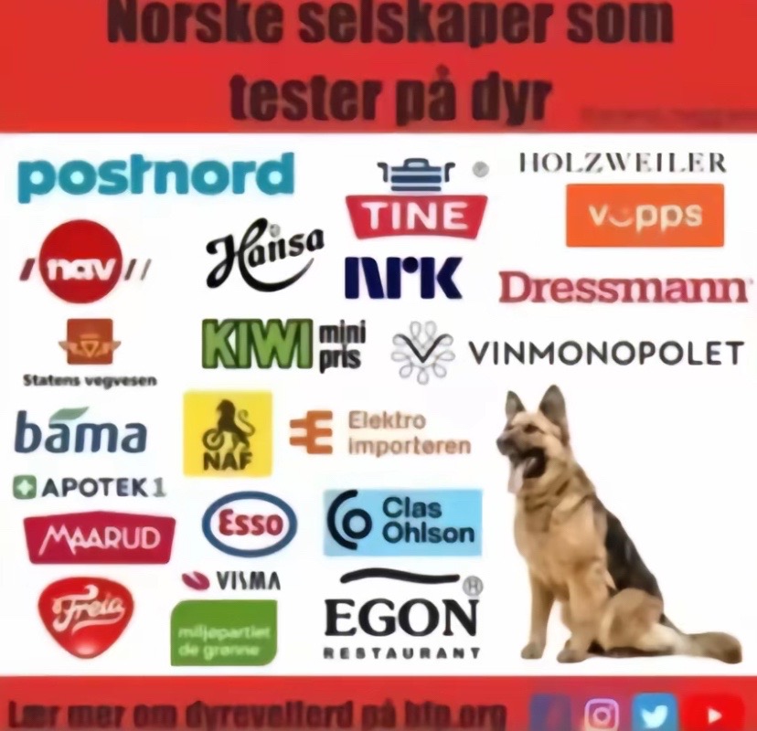 @Norske.memes.
