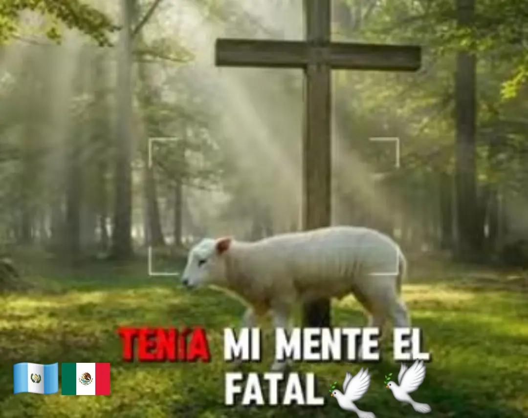 @👍Miriam Eulalia🧏♀️