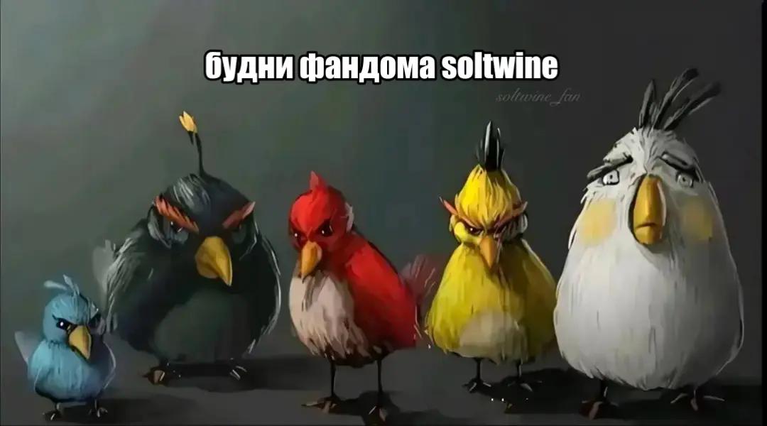 @тгк: soltwine_fan 🧂🍷