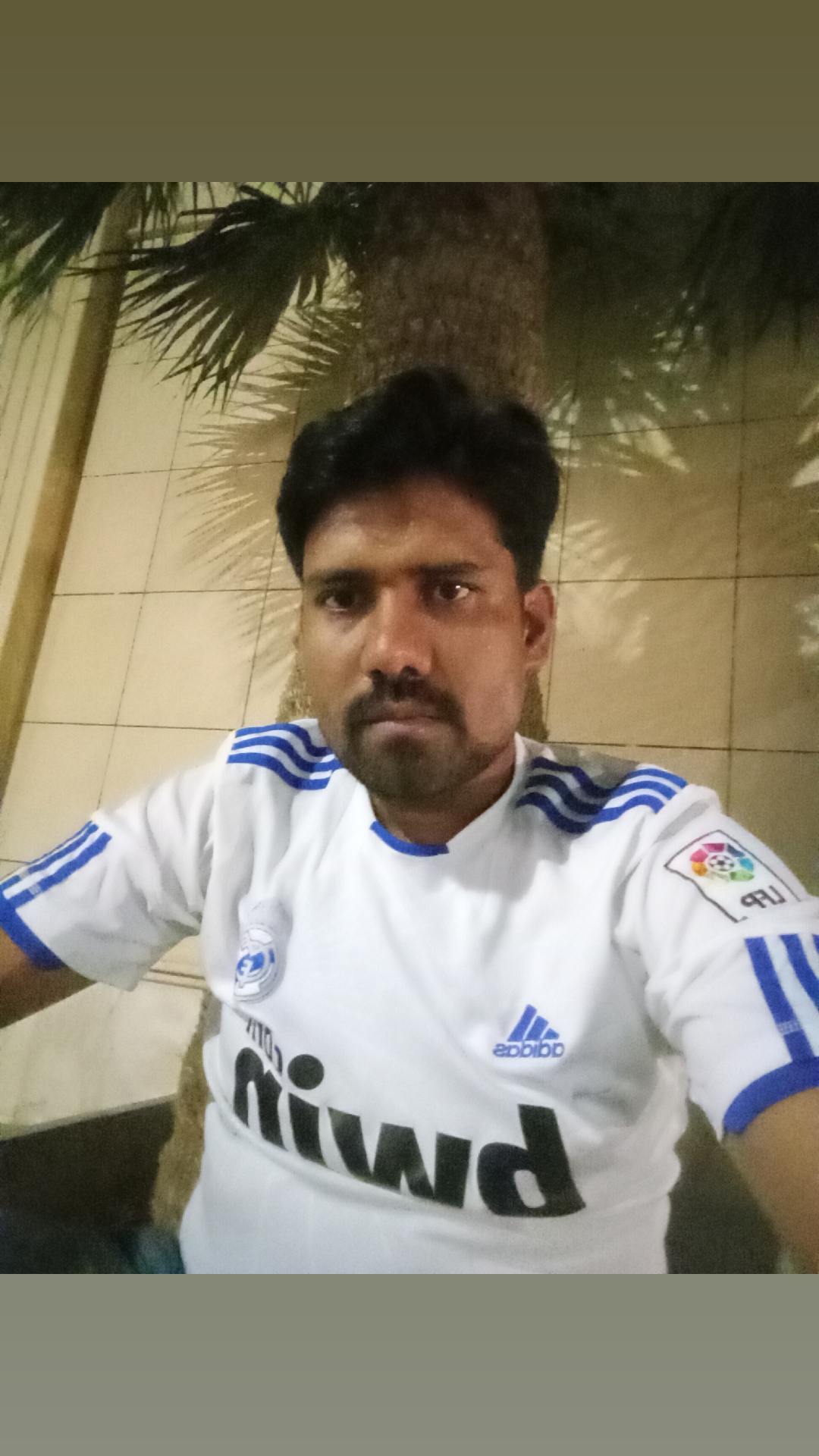 @insad ali