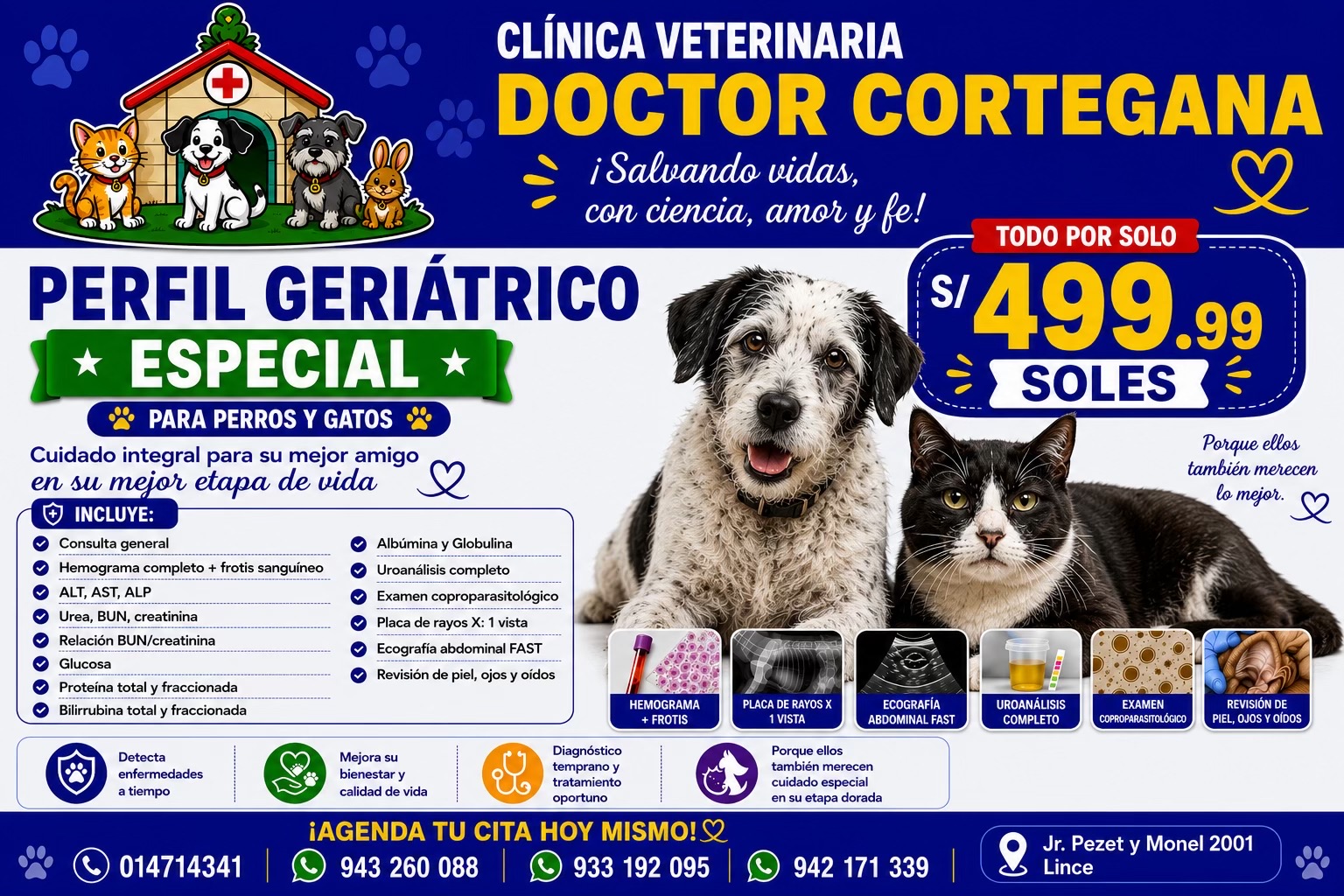 @VETERINARIA DR. CORTEGANA