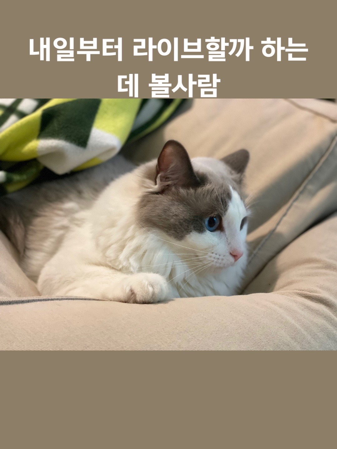 @드랍슨