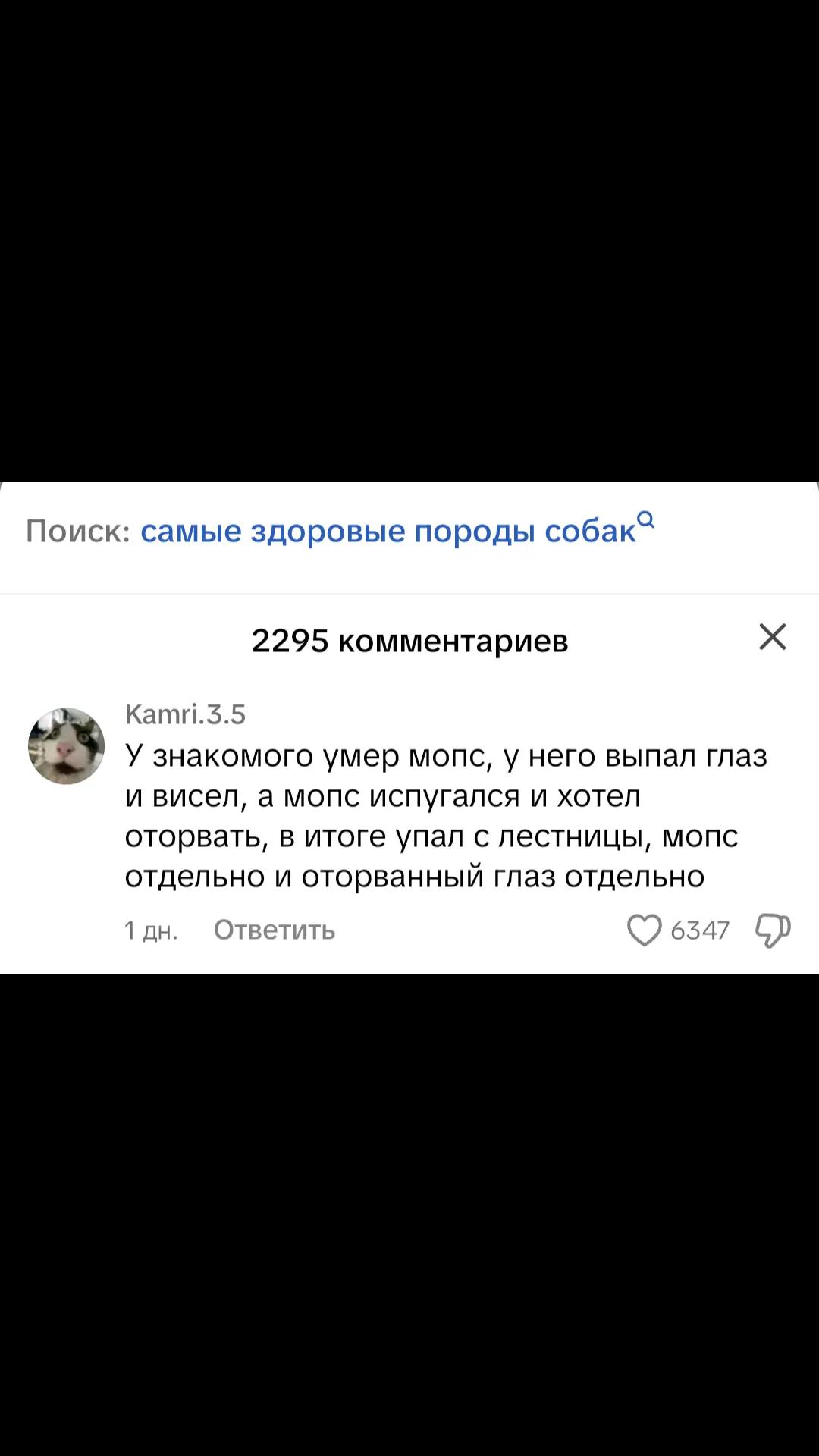 @gnom2949