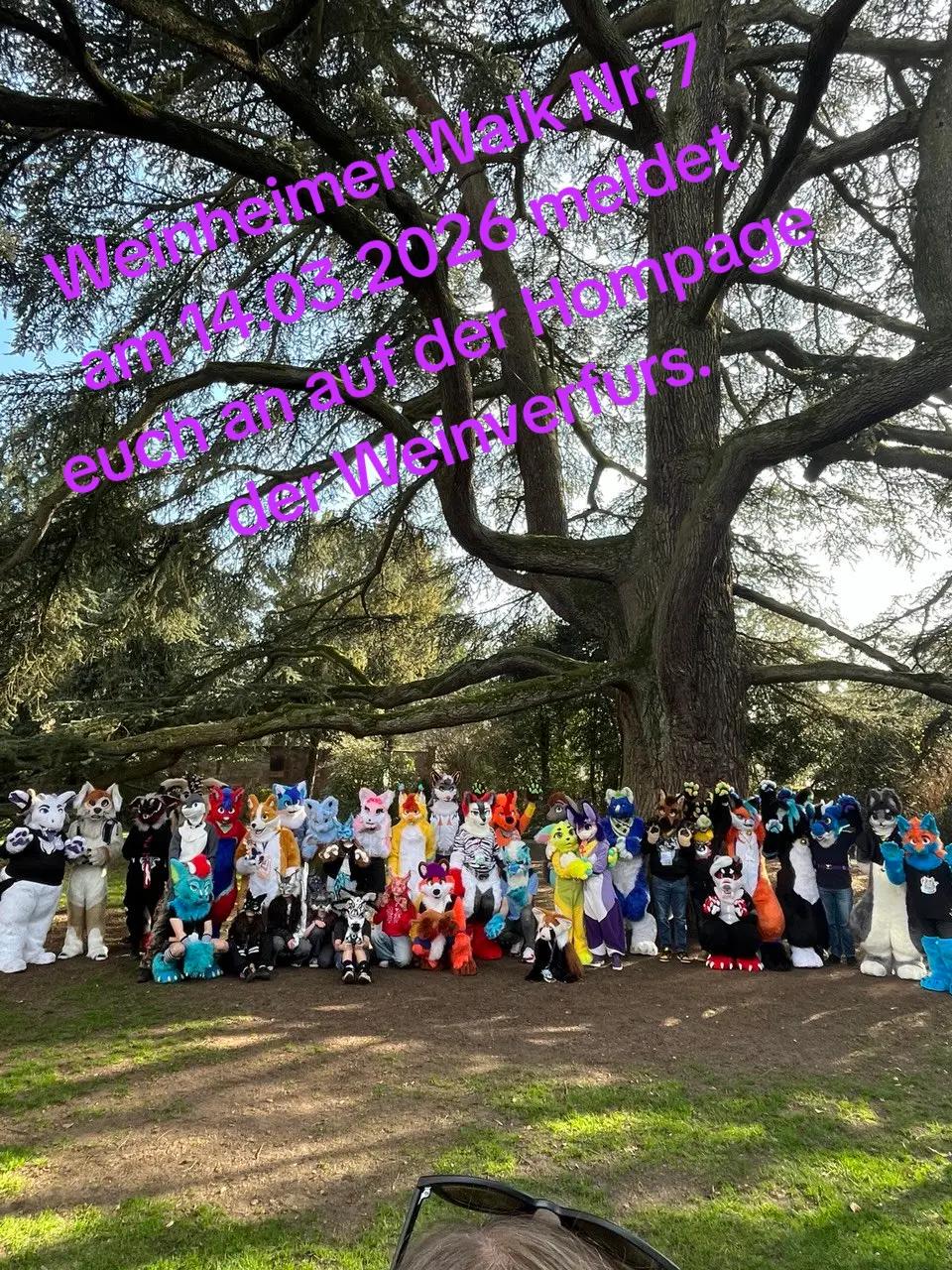 @Karisama