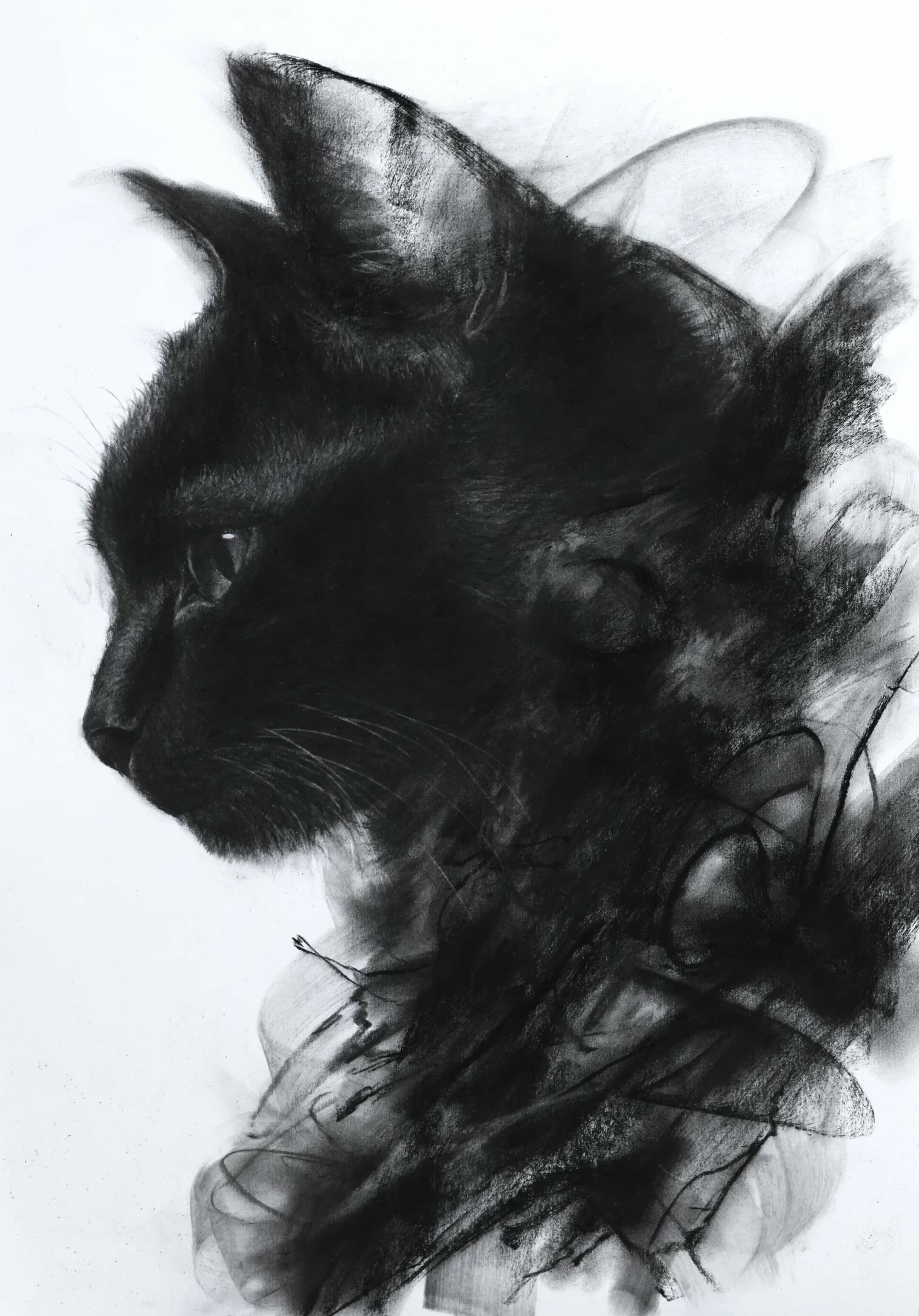 @ryosuke art