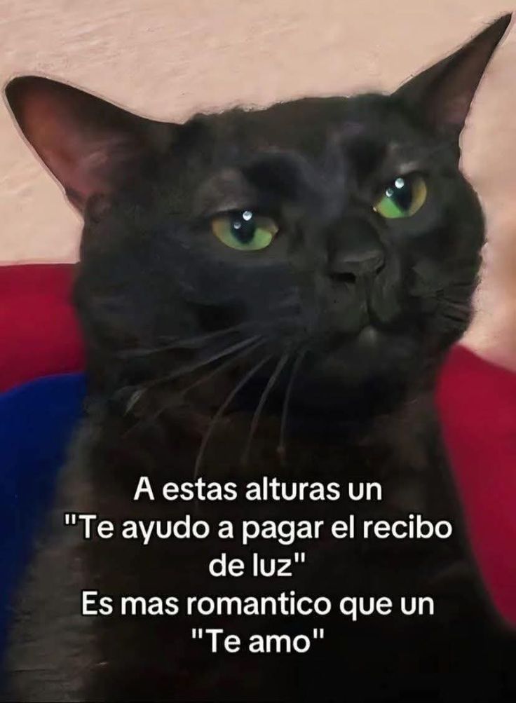 @Carlos Alberto