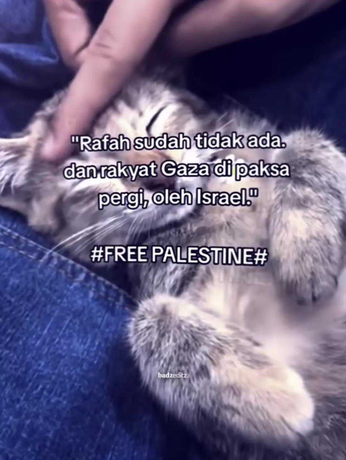 @- Lynxiéé R¡zz - 🇵🇸