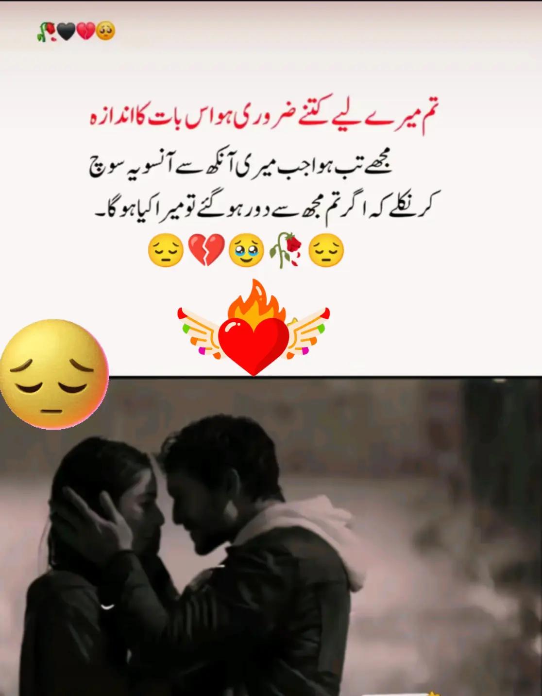 @Hassan Hussain💞