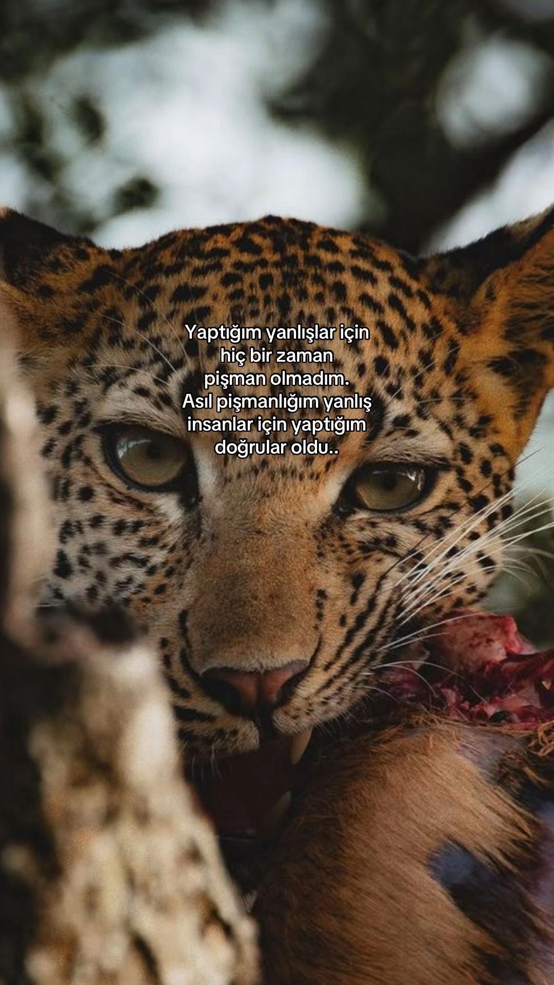 @Atarlı Kadın