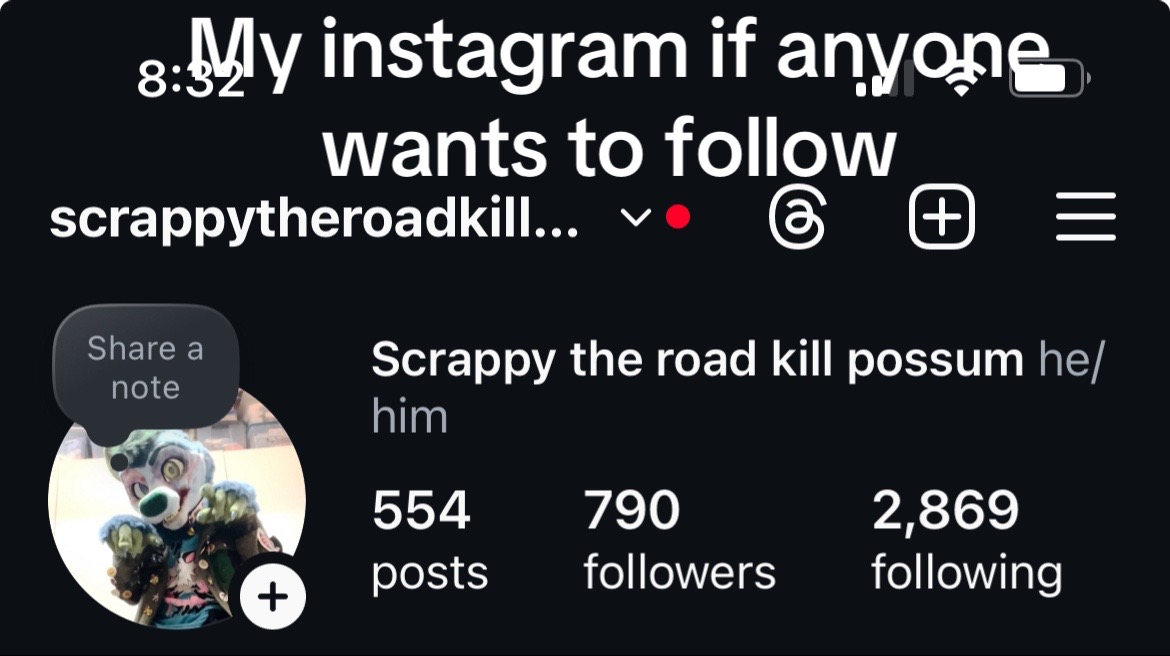 @scrappy roadkill possum